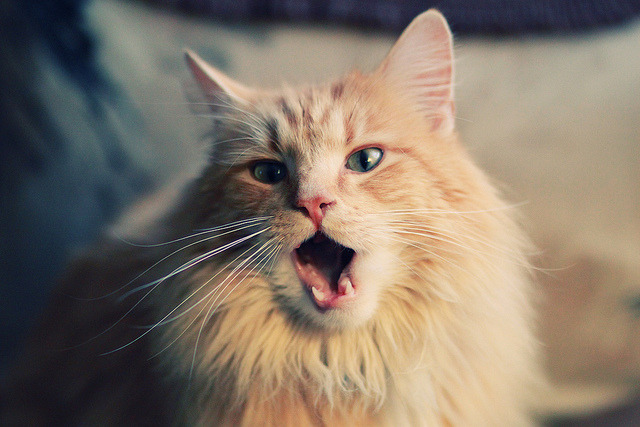 世界杯激战不息：每场比赛都令人难忘！，世界杯最激烈比赛