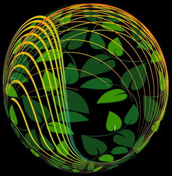 kaiyun登录入口-未来青训：生态系统构建助推足球强国梦，足球生态系统建设