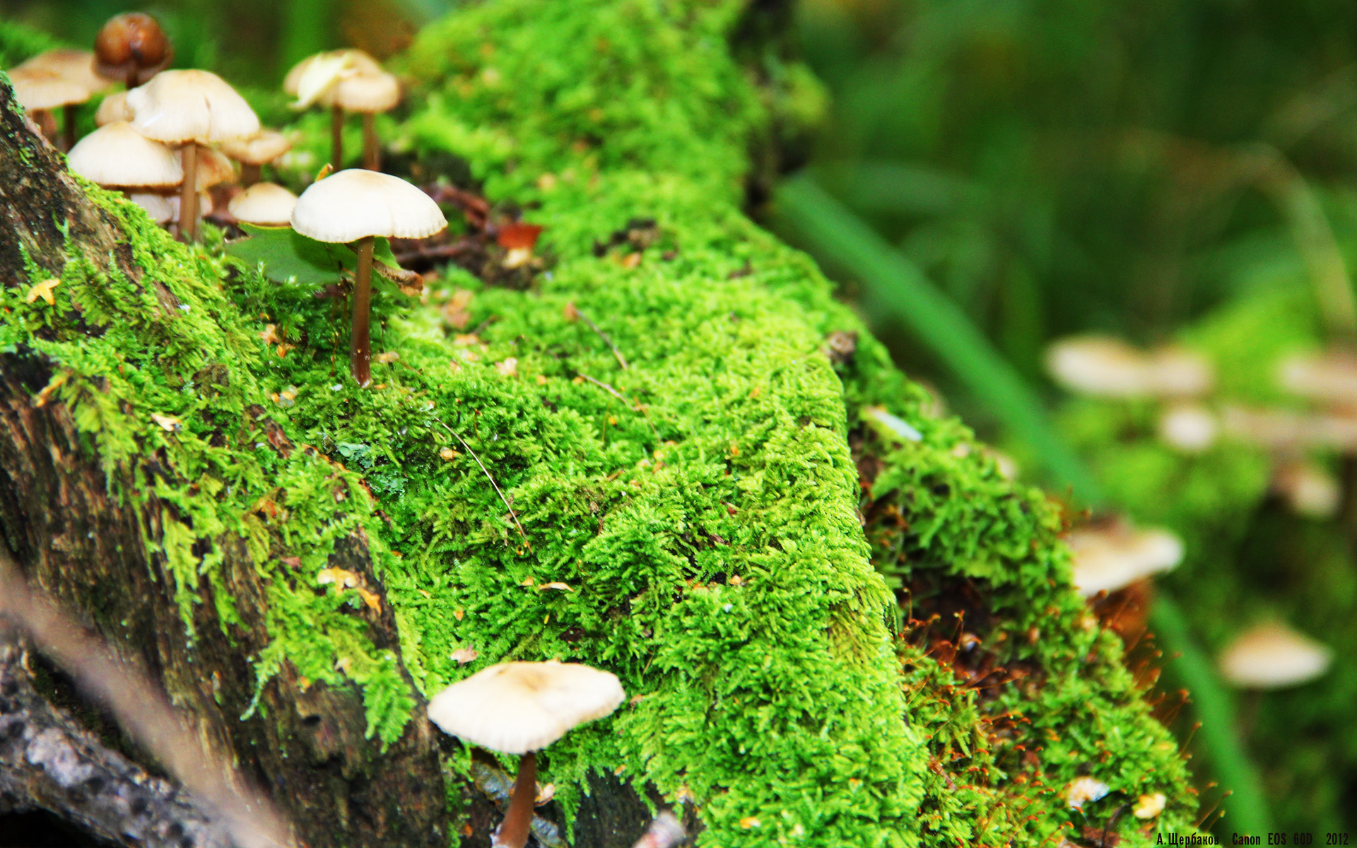 CBA球队推动数据主导的技战术调整,cba数据软件