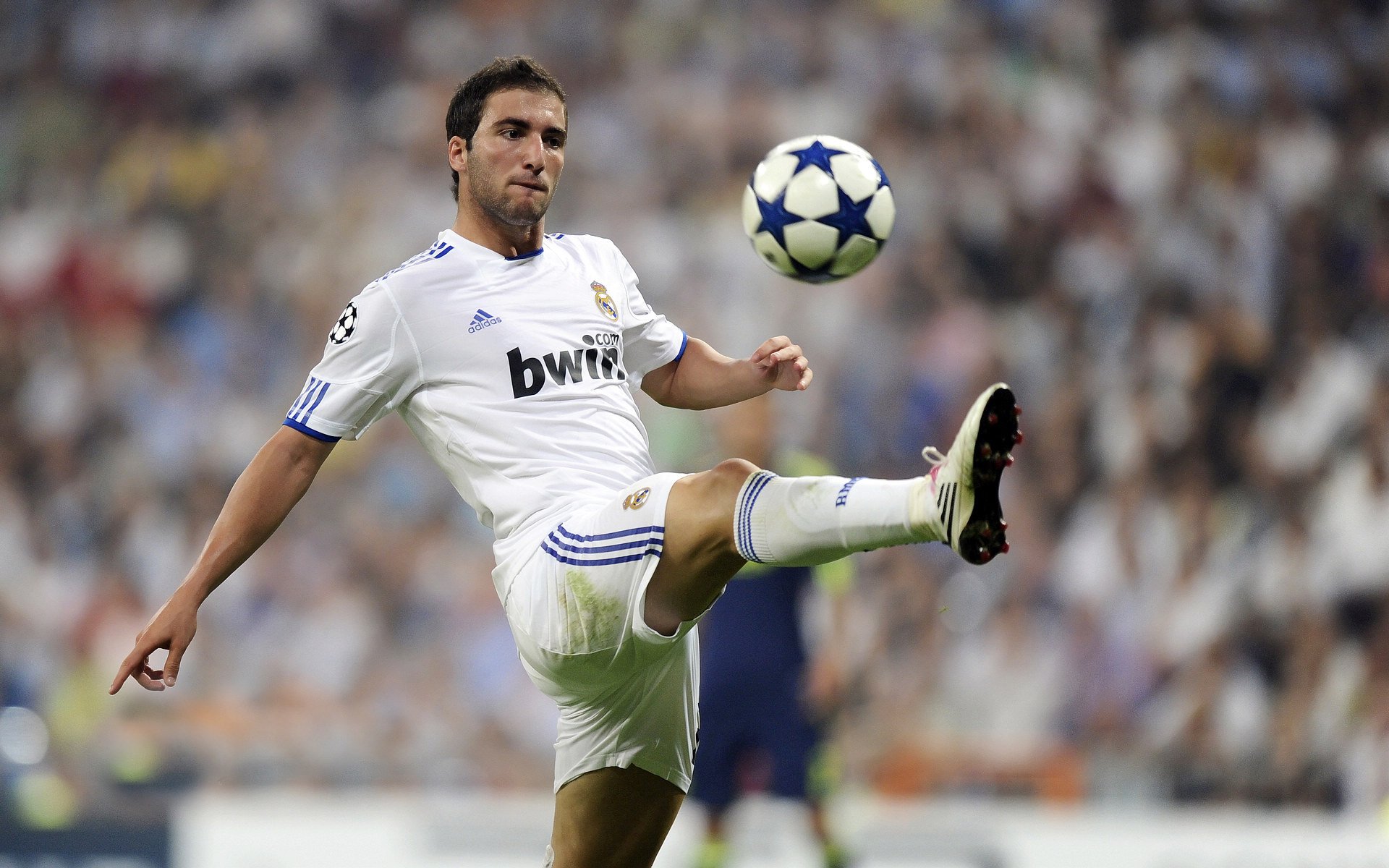 中国体操队训练视频走红,动作难度获赞,中国体操队项目